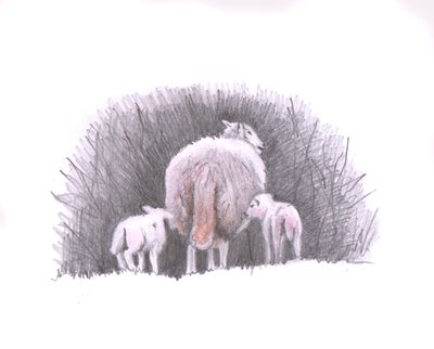 Follow, 2016, (lyijykynäpiirros) tekijältä Helen White