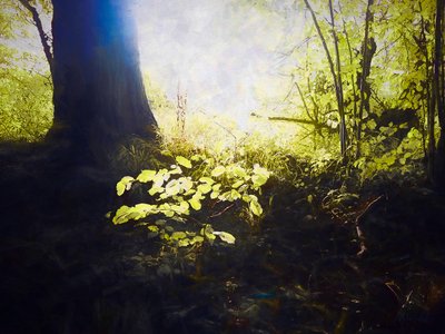 Pyhä paikka, 2018 tekijältä Helen White