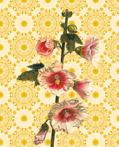 Hollyhocks on Sunshine, 2021 (akvarelli) tekijältä Helen White