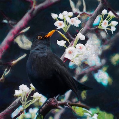 Lord of the Summer Song, 2019 tekijältä Helen White