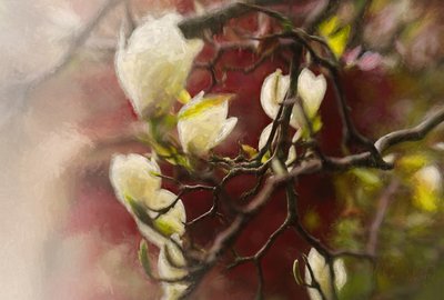 Magnolia, 2018 tekijältä Helen White