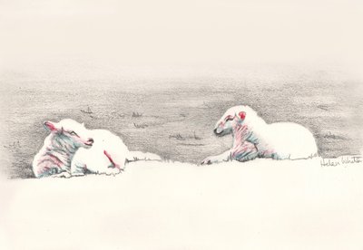 Nukkuminen, 2016, (lyijykynäpiirros) tekijältä Helen White