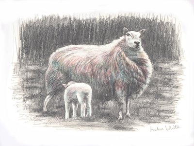 Ylpeä, 2016, (kynäpiirros) tekijältä Helen White