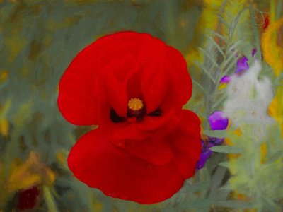 Scarlet, 2019 tekijältä Helen White