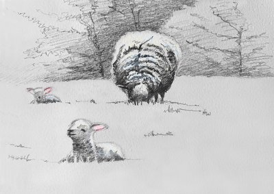 Lammastrio, 2022 tekijältä Helen White