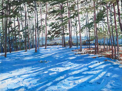 Snowy Ridge, 2009 tekijältä Helen White