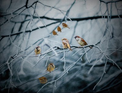 Täynnä elämää, 2019 tekijältä Helen White
