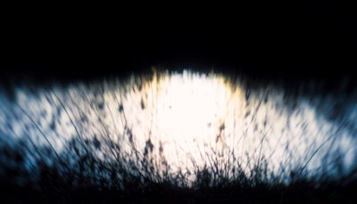 Vesikudos IV, 2017, (manipuloitu valokuvaus) tekijältä Helen White