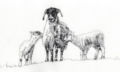 Me kolme, 2012 tekijältä Helen White