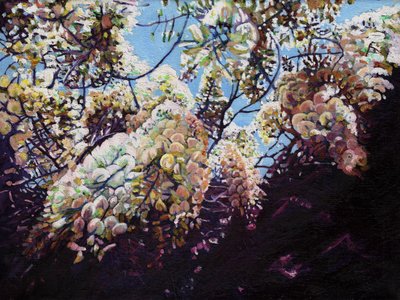 Valkoinen narsissi, 2012, tekijältä Helen White