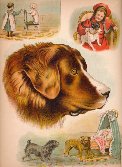 Koira, c1900 tekijältä Helena J. Maguire