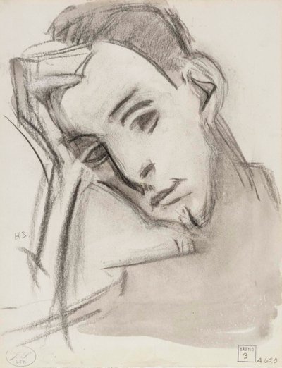 Serkku tekijältä Helene Schjerfbeck