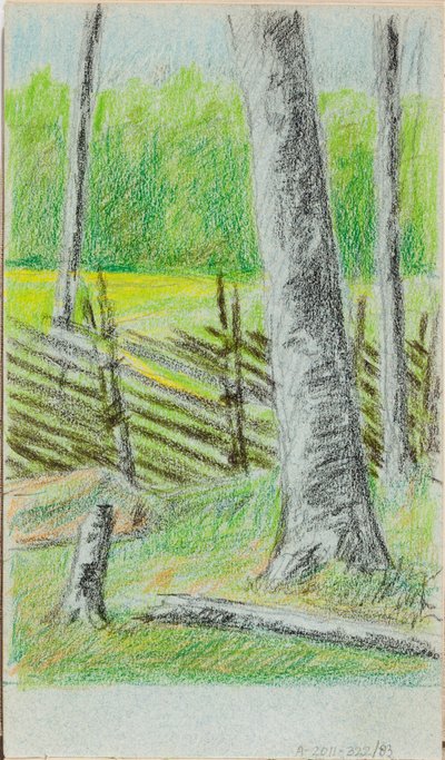 Ohne Titel tekijältä Helene Schjerfbeck