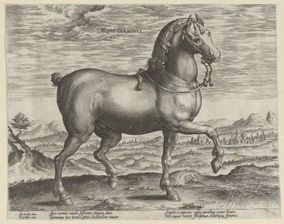 Ori Saksasta Eqvvs Germanvs (otsikko objektissa) Hevosrodut Itävallan Don Juanin kuninkaallisilta tallilta (sarjan nimi) Equile Ioannis Austriaci Caroli (sarjan nimi) tekijältä Hendrick Goltzius (possibly)