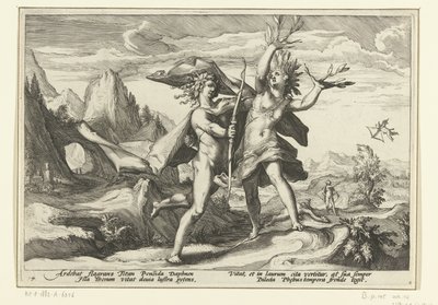 Daphne muuttuu laakeripuuksi Ovid