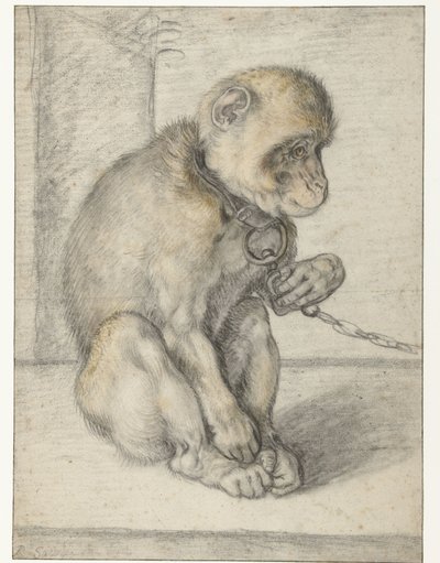 Un mico assegut en una cadena Monkey on a Chain, assegut finlandès tekijältä Hendrick Goltzius