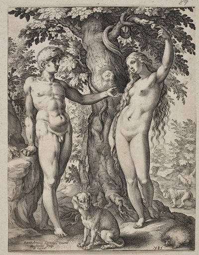 Aatami ja Eeva tekijältä Hendrick Goltzius