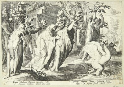 Phaetonin sisaret muuttuvat poppelipuiksi ja Cygnus joutseneksi tekijältä Hendrick Goltzius