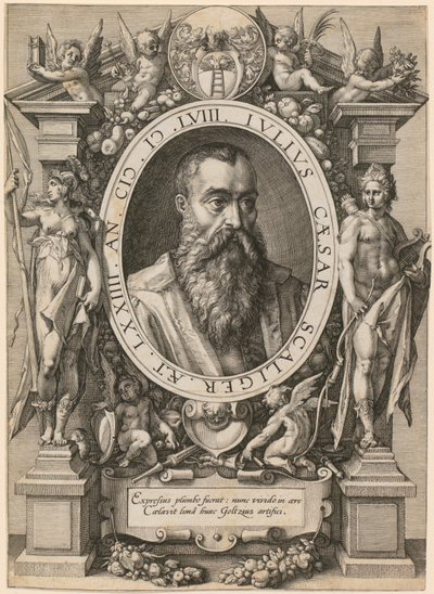 Julius Caesar Scaligerin muotokuva tekijältä Hendrick Goltzius