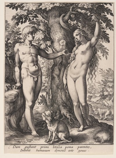 Ihmisen syntiinlankeemus tekijältä Hendrick Goltzius