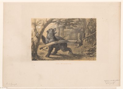 karhu ansassa Wildbow (otsikko esineessä) tekijältä Hendrik Adriaan Christiaan Dekker