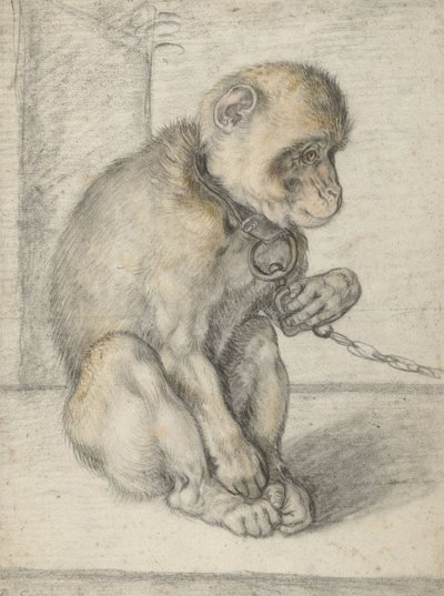 Istuva apina ketjussa, 1592-1602 (musta, okra ja punainen liitu) tekijältä Hendrik Goltzius