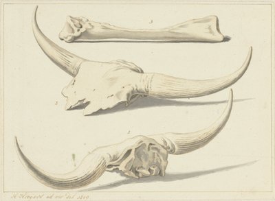 Aurochin fossiiliset luut, löydetty tulvan aikana, 1809 tekijältä Hendrik Hoogers