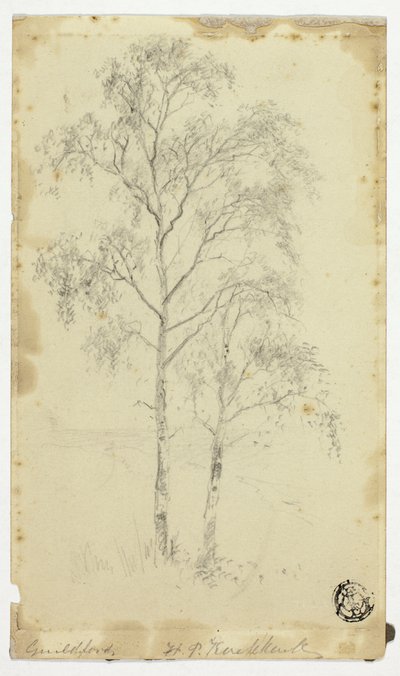 Guildford tekijältä Hendrik Pieter Koekkoek