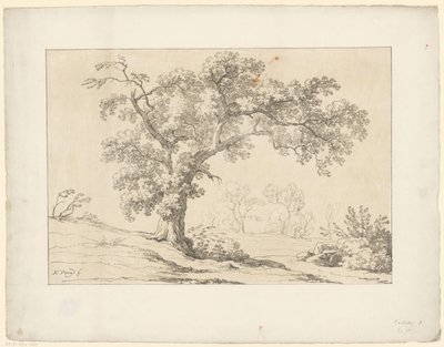 Puu maisemassa Tentamina Lithographica (sarjan nimi) Italian maisemat (sarjan nimi) tekijältä Hendrik Voogd