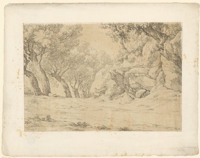 Avenue umpeen kasvaneilla kivillä Tentamina Lithographica (sarjan nimi) Italian maisemat (sarjan nimi) tekijältä Hendrik Voogd