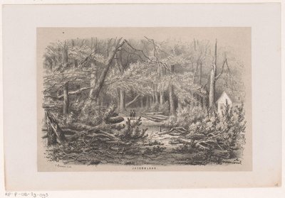 Puut kaatuivat Jacobalassa myrskyn jälkeen 28.5.1860 Jacobalaan (otsikko esineessä) Albumi kymmenestä litografoidusta luonnoksesta, jotka kuvaavat Tooneelen of the Destruction, 28. toukokuuta 1860 myrskyn kiihottamana Gravenhaagsche Boschissa, tekijältä Hendrik Wilhelmus Last