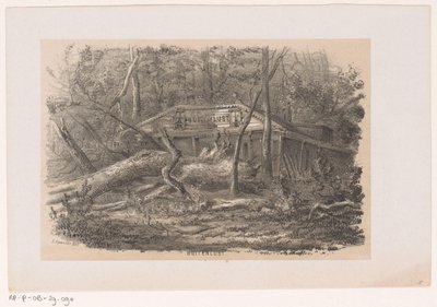 Puu kaadettiin Buitenlustissa 28. toukokuuta 1860 myrskyn jälkeen Buitenlust (otsikko esineessä) Albumi kymmenestä litografoidusta luonnoksesta, jotka kuvaavat Tooneelen of the Destruction, 28. toukokuuta 1860 myrskyn kiihottamana Gravenhaagsche Boschissa, tekijältä Hendrik Wilhelmus Last