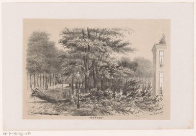Puu kaatui Voorhoutin lähellä 28. toukokuuta 1860 myrskyn jälkeen Voorhout (otsikko objektissa) Albumi kymmenestä litografoidusta luonnoksesta, jotka kuvaavat Tooneelen of the Destruction, 28. toukokuuta 1860 myrskyn kiihottamana Gravenhaagsche Boschissa S tekijältä Hendrik Wilhelmus Last
