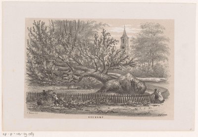 Puu kaadettiin Koekampissa 28. toukokuuta 1860 myrskyn jälkeen Koekamp (otsikko esineessä) Albumi kymmenestä litografoidusta luonnoksesta, jotka kuvaavat Tooneelen of the Destruction, 28. toukokuuta 1860 myrskyn kiihottamana Gravenhaagsche Boschissa, Sche. tekijältä Hendrik Wilhelmus Last