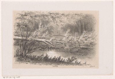 Puu kaatui 28. toukokuuta 1860 myrskyn jälkeen Lampi (otsikko esineessä) Albumi kymmenestä litografoidusta luonnoksesta, jotka kuvaavat Tooneelen of the Destruction, 28. toukokuuta 1860 myrskyn kiihottamana Gravenhaagsche Boschissa Scheveningenissä jne. ( tekijältä Hendrik Wilhelmus Last