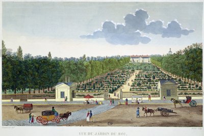 Näkymä Jardin du Roi -puistoon Pariisissa Austerlitzin sillalta, kaiverrus Claude Fortier (1775-1835) (värikaiverrus) tekijältä Henri (after) Courvoisier Voisin