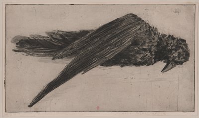 Suuri roikkuva korppi (Le Grand Corbeau Pendu), tekijältä Henri Charles Guérard