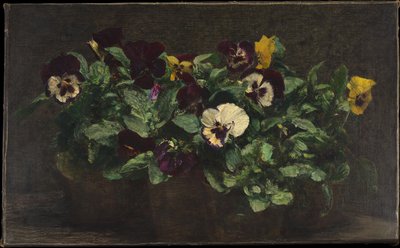 Asetelma ja orvokkeja tekijältä Henri Fantin-Latour