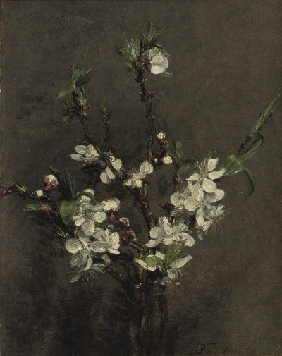 Hedelmäpuun kukkia tekijältä Ignace Henri Jean Fantin Latour