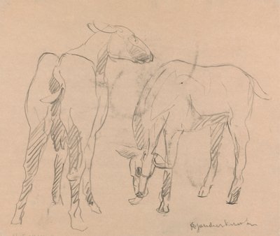 Kaksi vuohetta tekijältä Henri Gaudier-Brzeska
