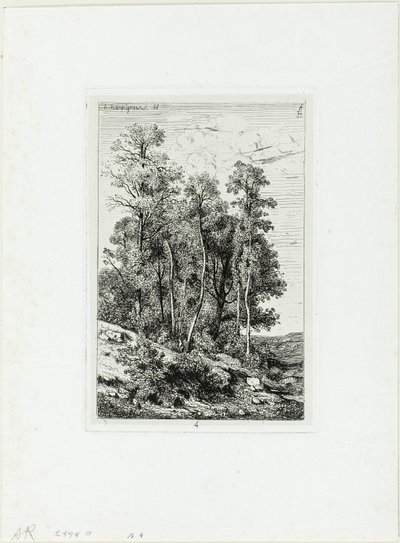 Koivut ja tammet tekijältä Henri Joseph Harpignies