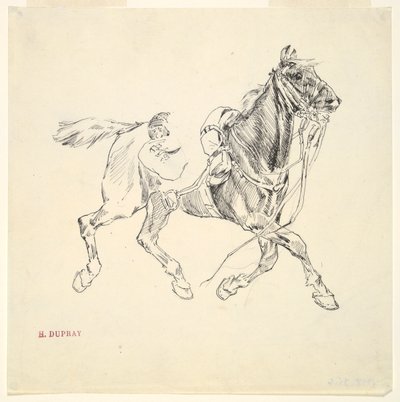 Cavall militar finès tekijältä Henri Louis Dupray