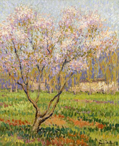 Apple Tree in Blossom; Omenankukkia, tekijältä Henri Martin