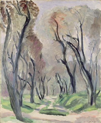 Avenue of Olive Trees tekijältä Henri Matisse