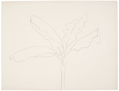 Banaanipuu (Tahiti) tekijältä Henri Matisse