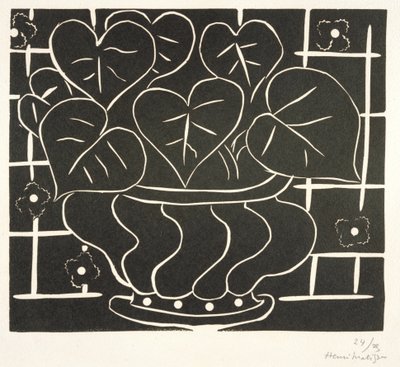 Begonioiden kulho I tekijältä Henri Matisse