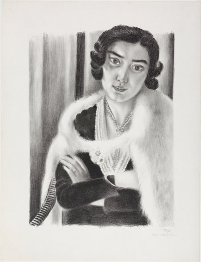 Valkokettu tekijältä Henri Matisse