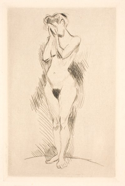 Ensimmäinen poseeraus tekijältä Henri Matisse