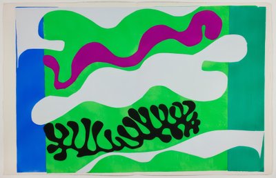 Lagoon, alkaen Jazz tekijältä Henri Matisse