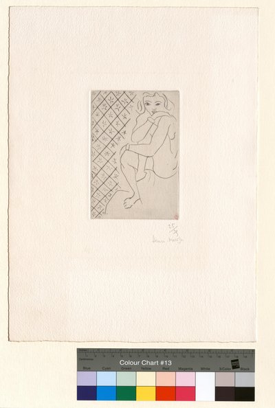 Istuva alaston tähtikuvioisten laattojen taustaa vasten tekijältä Henri Matisse